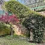 Casa Monalba Sul D'iseo